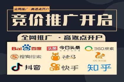 XX领域竞价广告的投放策略及效果展示